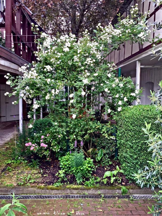 Dr. Fabian Und Christine Drube Apartment Immenhausen Exterior photo